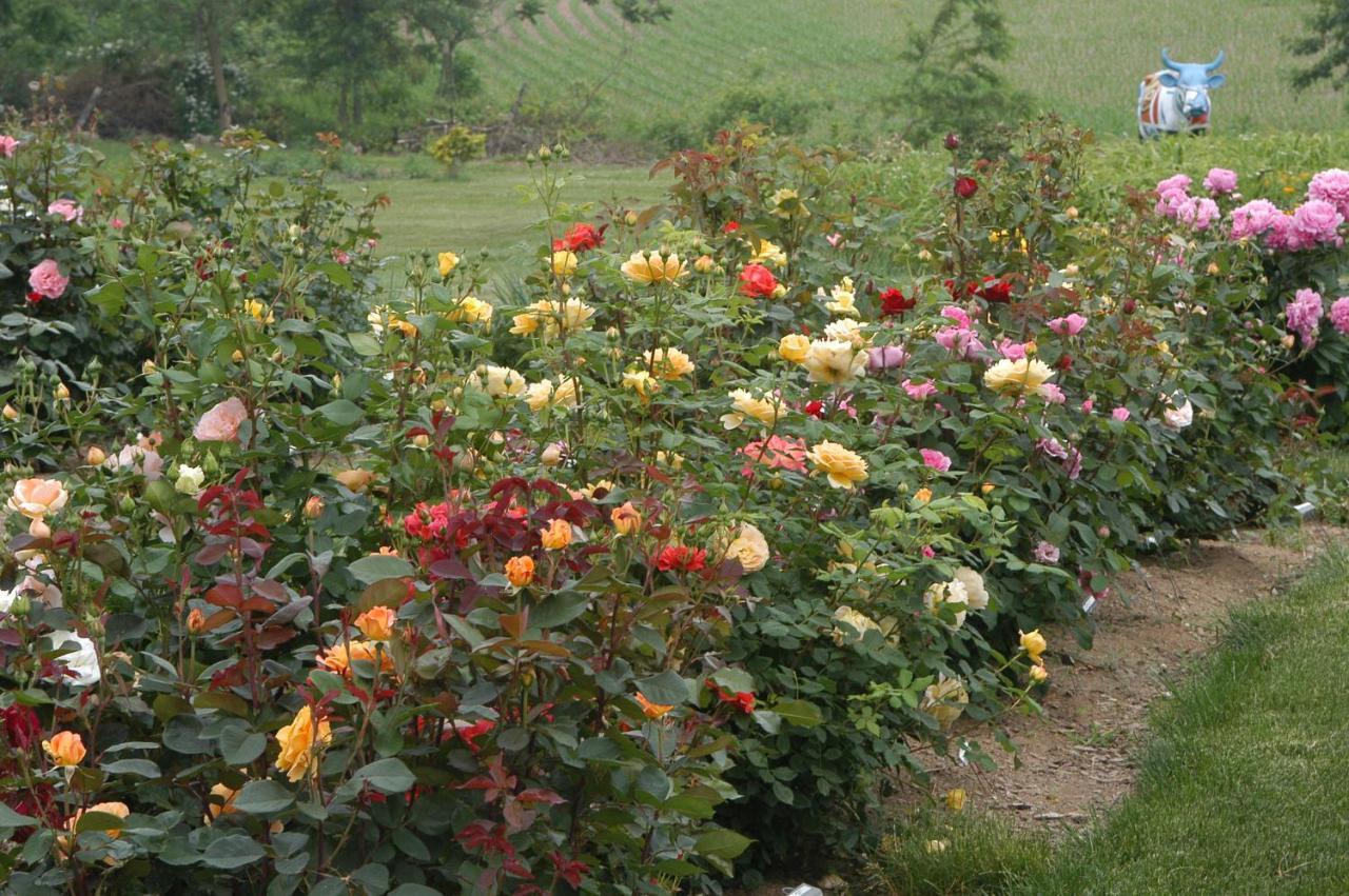 Annville Inn Bed & Breakfast Экстерьер фото