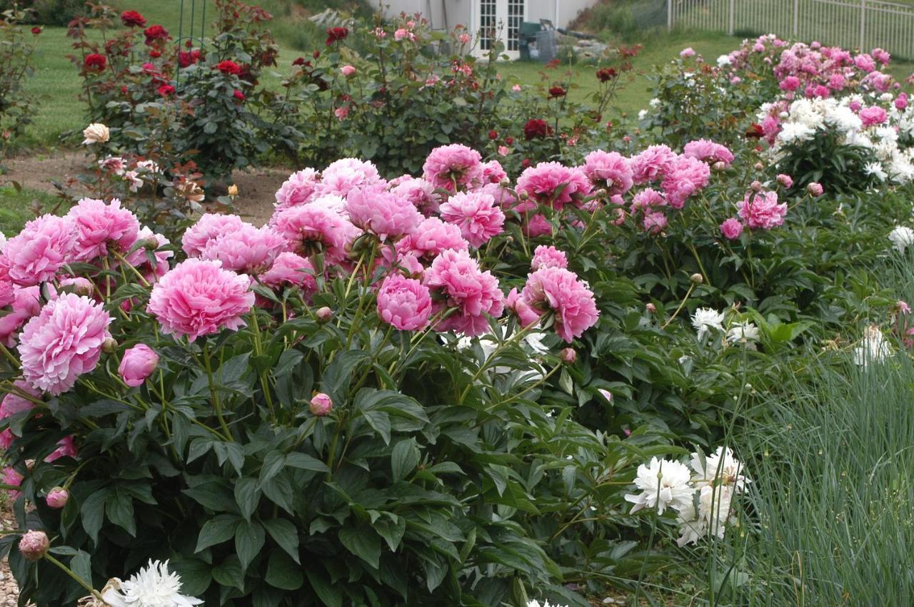 Annville Inn Bed & Breakfast Экстерьер фото