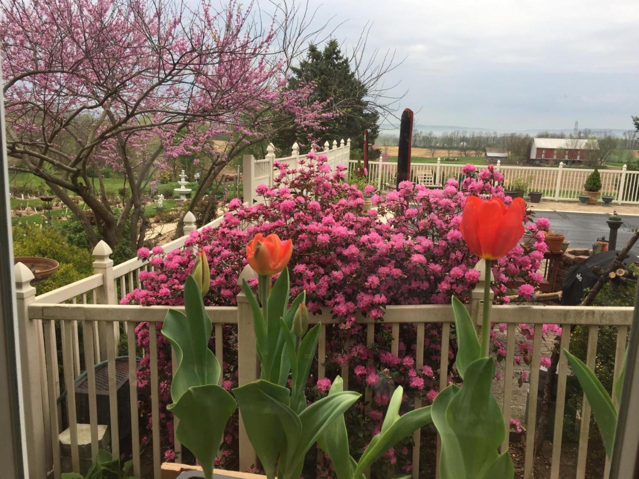 Annville Inn Bed & Breakfast Экстерьер фото